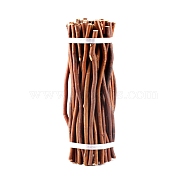 Wood Log Sticks, Twigs for Crafts Photographic Prop, Saddle Brown, 30x0.5~1.2cm, about 50pcs/bundle(WOCR-PW0001-262A-01B)