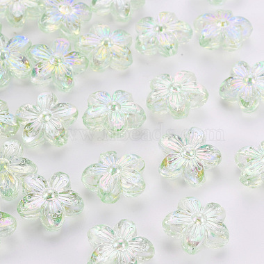 Transparent Acrylic Beads(TACR-S154-45C-327)-1