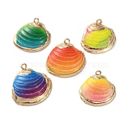 Sea Shell Pendants, Shell Shape Charms, with Brass Covered Edge, Spray Painted, Mixed Color, 20~25x21~27x6~7mm, Hole: 1~1.5mm(SSHEL-B002-07G-01)