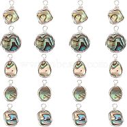 Natural Abalone Shell/Paua Shell Pendants, with Eco-Friendly Copper Wire Wrapped, Mixed Shapes, Platinum, 20pcs/box(PALLOY-FH0001-66P)