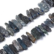 Natural Kyanite/Cyanite/Disthene Quartz Beads Strands, Nuggets, 20~60x5~15x5~15mm, Hole: 1mm, about 49pcs/strand, 15.7 inch(G-R432-09)