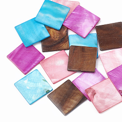 Freshwater Shell Cabochons, Dyed, Square, Mixed Color, 23x23x2mm(SHEL-T009-02)