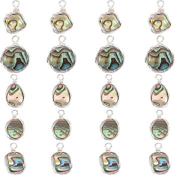 Natural Abalone Shell/Paua Shell Pendants, with Eco-Friendly Copper Wire Wrapped, Mixed Shapes, Platinum, 20pcs/box