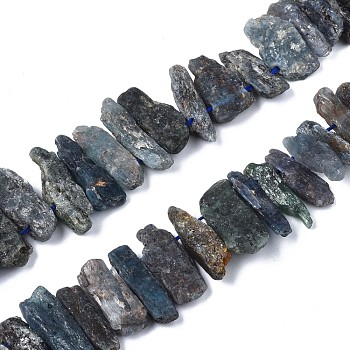 Natural Kyanite/Cyanite/Disthene Quartz Beads Strands, Nuggets, 20~60x5~15x5~15mm, Hole: 1mm, about 49pcs/strand, 15.7 inch