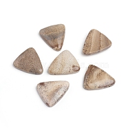 Natural Picture Jasper Beads, Top Drilled Beads, Triangle, 28.5x25~25.5x5.5~6mm, Hole: 1mm(G-I274-23)