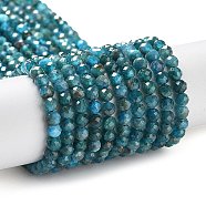 Natural Apatite Beads Strands, Faceted, Round, 3.5mm, Hole: 0.7mm, about 118pcs/strand, 14.96 inch(38cm)(G-J400-E03-01)