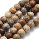 Natural Fossil Coral Beads Strands(G-G763-12-8mm)-1