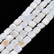 Natural Freshwater Shell Beads Strands, Square, 8x8x3mm, Hole: 0.9mm, about 48pcs/strand, 15.16 inch(38.5cm)(SHEL-N026-209)