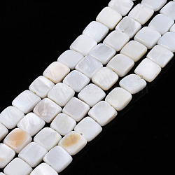 Natural Freshwater Shell Beads Strands, Square, 8x8x3mm, Hole: 0.9mm, about 48pcs/strand, 15.16 inch(38.5cm)(SHEL-N026-209)