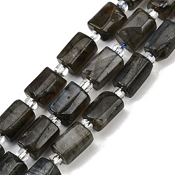 Natural Labradorite Beads Strands, Faceted, Column, with Seed Beads, 12x8mm, Hole: 1.2mm, about 26pcs/strand, 15.35''(39cm)(G-G162-D13-01)