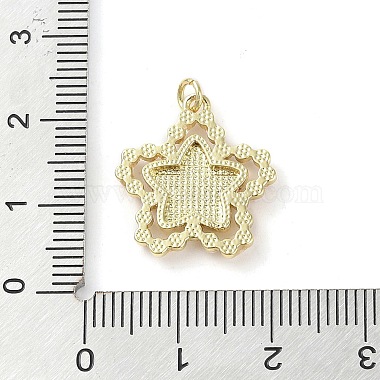 pendentifs en laiton(KK-Q813-07D-G)-3