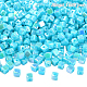 1 g bunte(SACR-YW0001-93F)-1