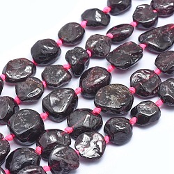 Natural Garnet Beads Strands, Nuggets, 10~20x11~15x4~8mm, Hole: 1mm, about 28~29pcs/strand, 16.3 inch(41.5cm)(G-I213-27)