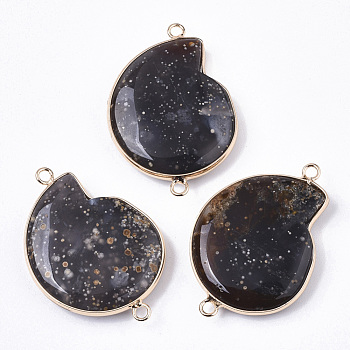 Natural Agate/Natural Starry Sky Agate Links Connectors, with Light Gold Brass Edge, Spiral Shell Shape, 41~42x29x6mm, Hole: 2mm
