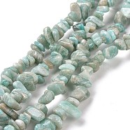 Natural Amazonite Chip Beads Strands, 5~8x5~8mm, Hole: 1mm, about 31inch(G-M205-64-1)