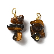 Natural Tiger Eye Pendants, Nuggets Charms with Real 18K Gold Plated Brass Loops, 13~19x7~13x5~7mm, Hole: 1.5~1.6mm(KK-P242-31G-05)