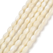 Natural Trochid Shell/Trochus Shell Beads Strands, Rice, Seashell Color, about 7mm long, 4mm thick, hole: 0.5mm, 59pcs/Strand(PBB513Y)