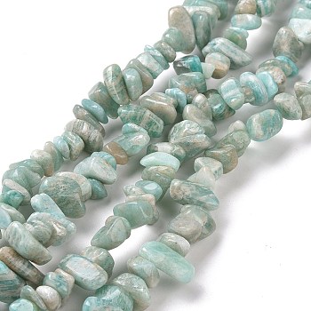 Natural Amazonite Chip Beads Strands, 5~8x5~8mm, Hole: 1mm, about 31inch