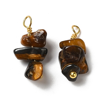 Natural Tiger Eye Pendants, Nuggets Charms with Real 18K Gold Plated Brass Loops, 13~19x7~13x5~7mm, Hole: 1.5~1.6mm
