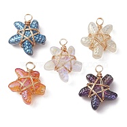 Copper Wire Wrapped Handmade Lampwork Pendants, Starfish, Golden, 17x14x6mm, Hole: 2mm(PALLOY-JF02288-01)