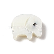 Natural White Shell Beads, Elephant, 11x10x3mm, Hole: 1mm(BSHE-G031-02)