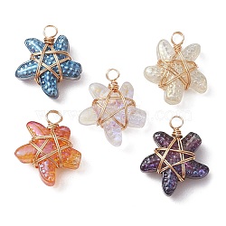 Copper Wire Wrapped Handmade Lampwork Pendants, Starfish, Golden, 17x14x6mm, Hole: 2mm(PALLOY-JF02288-01)