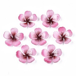 Plastic Cabochons, Flower, Pearl Pink, 18x18.5x4mm(KY-N015-025)