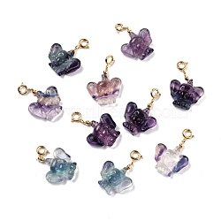 Natural Fluorite Carved Pendants, with Golden Plated Brass Findings, Elephant, 21~23x20.5~21.5x7mm, Hole: 3.7mm(G-J387-101)