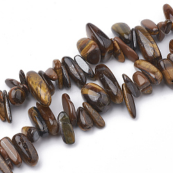 Natural Tiger Eye Beads Strands, Chip, 10~30x4~10x1~7mm, Hole: 1mm, about 80~85pcs/strand, 15.55 inch(G-S338-06)