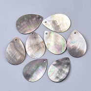Black Lip Shell Pendants, Teardrop, Gray, 30x20x1~2mm, Hole: 2mm(SSHEL-S251-35C)