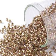 TOHO Round Seed Beads, Japanese Seed Beads, (268) Inside Color AB Crystal/Gold Lined, 11/0, 2.2mm, Hole: 0.8mm, about 5555pcs/50g(SEED-XTR11-0268)