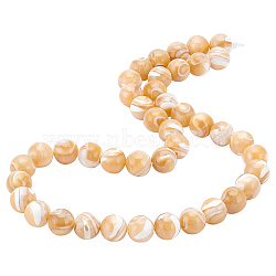 BENECREAT 1 Strand Natural Sea Shell Round Bead Strands, 8mm, Hole: 1mm, about 52pcs/strand, 15.7 inch(SSHEL-BC0001-19)