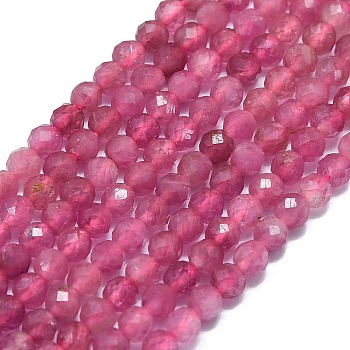 Natural Tourmaline Beads Strands, Faceted, Round, 2.5~3mm, Hole: 0.5mm, about 138~142pcs/strand, 15.35~15.55 inch(39~39.5cm)