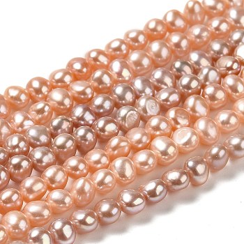 Natural Cultured Freshwater Pearl Beads Strands, Two Sides Polished, Grade 4A, Sandy Brown, 5x5.5~6x4~4.5mm, Hole: 0.6mm, about 66~67pcs/strand, 13.58 inch(34.5cm)
