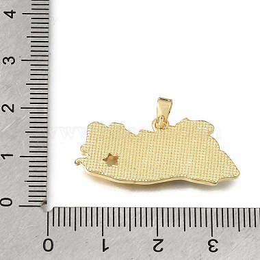 Brass Enamel Pendants(KK-C263-30C-G)-3