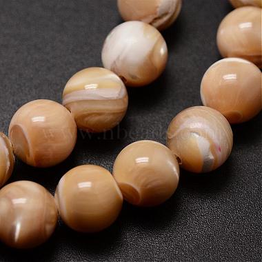 Natural Sea Shell Beads Strands(SSHEL-K013-8mm-B)-3