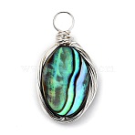 Natural Abalone Shell/Paua Shell Pendants, with Copper Wire, Oval, Silver Color Plated, 19x10x3mm, Hole: 3mm(PALLOY-JF00457-04)