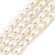 Natural Cultured Freshwater Pearl Beads Strands, Grade 7A+, Rice, Snow, 2~2.3mm, Hole: 0.3mm, about 63pcs/strand, 7.68''(19.5cm)(PEAR-P062-22)