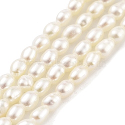 Natural Cultured Freshwater Pearl Beads Strands, Grade 7A+, Rice, Snow, 2~2.3mm, Hole: 0.3mm, about 63pcs/strand, 7.68''(19.5cm)(PEAR-P062-22)