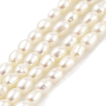 Natural Cultured Freshwater Pearl Beads Strands, Grade 7A+, Rice, Snow, 2~2.3mm, Hole: 0.3mm, about 63pcs/strand, 7.68''(19.5cm)