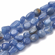 Natural Kyanite/Cyanite/Disthene Beads Strands, Tumbled Stone, Nuggets, 6~11x5~7x3~5mm, Hole: 1mm, about 51pcs/strand, 15.7 inch(X-G-S290-01)
