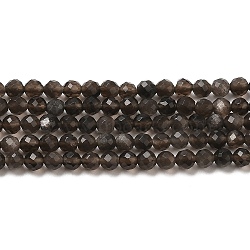 Natural Silver Sheen Obsidian Beads Strands, Round, Faceted, 3mm, Hole: 0.6mm, about 125pcs/strand, 14.96~15.16''(38~38.5cm)(G-E608-A02-B)