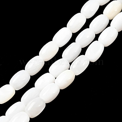 Natural Freshwater Shell Beads Strands, Oval, Seashell Color, 7x5mm, Hole: 0.9mm, about 55pcs/strand, 14.96~15.55''(38~39.5cm)(SHEL-R129-02)