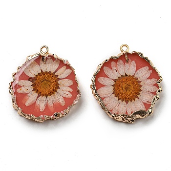 Inner Dried Flower Resin Pendants, Flat Round Charms with Light Gold Plated Brass Edge and Iron Loops, Tomato, 34~36x30~31.5x4.5~5.5mm, Hole: 2mm