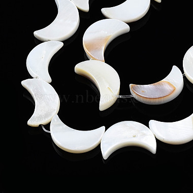 Natural Freshwater Shell Beads Strands(SHEL-Q024-015A)-3