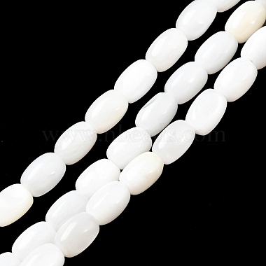 Seashell Color Oval Freshwater Shell Beads