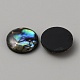 Natural Abalone Shell Cabochons(FIND-WH0420-61C)-2