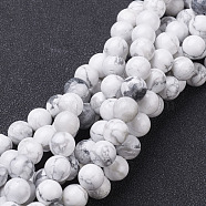 Gemstone Beads Strands, Natural Howlite Round Beads, White, 6mm, Hole: 0.8mm, about 60~61pcs/strand, 15~16 inch(GSR6mmC015)