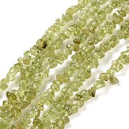 Natural Peridot Beads Strands, Grade A, Chip, 4~7mm, Hole: 1mm, about 33 inch(84cm)(G-P332-48-01)