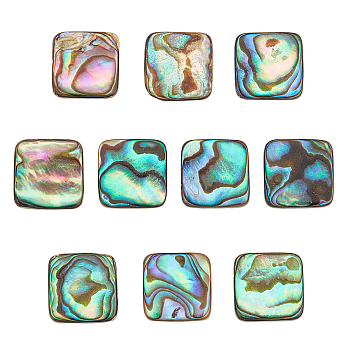 10Pcs Natural Abalone Shell/Paua Shell Cabochons, with Freshwater Shell, Square, 10x10x3mm